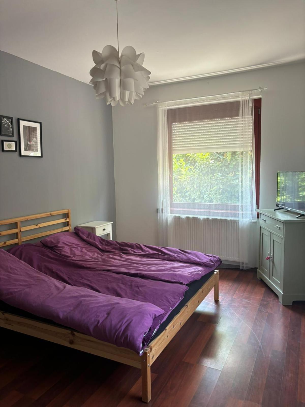 דירות באיה Luxury Apartman מראה חיצוני תמונה